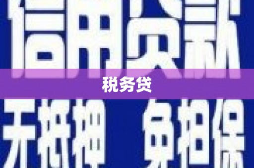 文县税务贷