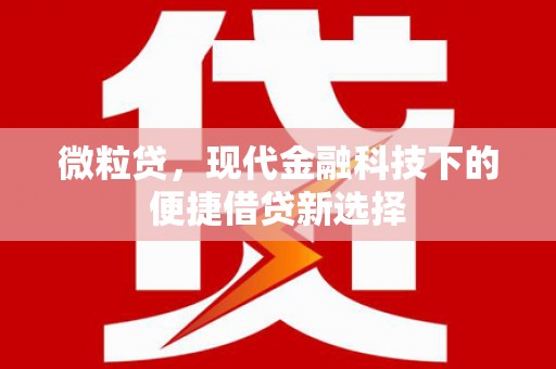 文县微粒贷，现代金融科技下的便捷借贷新选择
