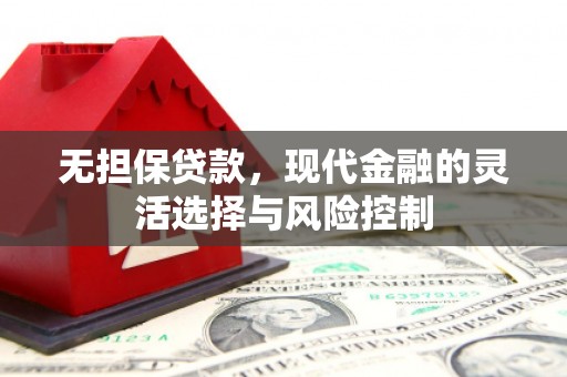 文县无担保贷款，现代金融的灵活选择与风险控制