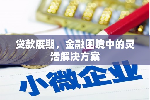 文县贷款展期，金融困境中的灵活解决方案