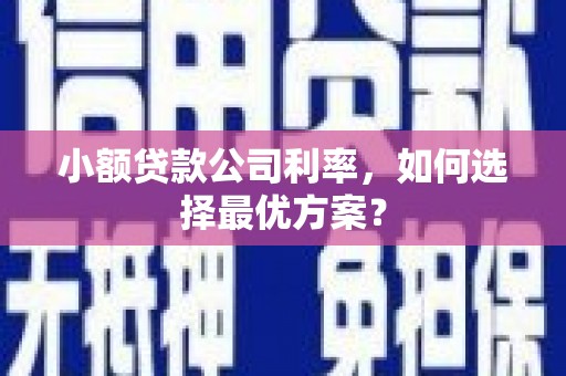 文县小额贷款公司利率，如何选择最优方案？