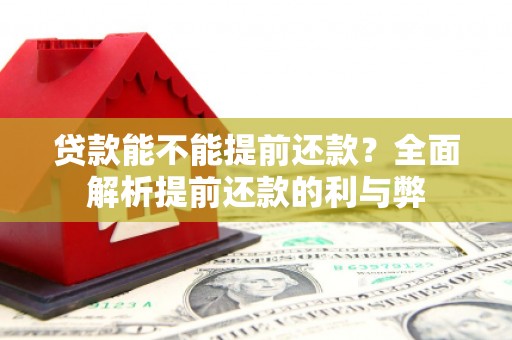 文县贷款能不能提前还款？全面解析提前还款的利与弊