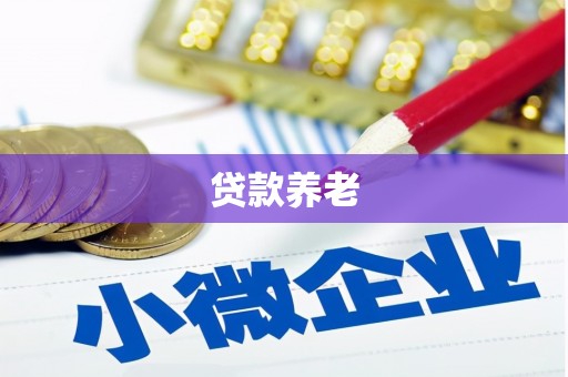 文县贷款养老