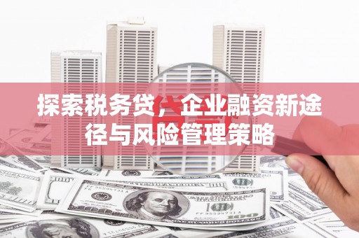 文县探索税务贷，企业融资新途径与风险管理策略