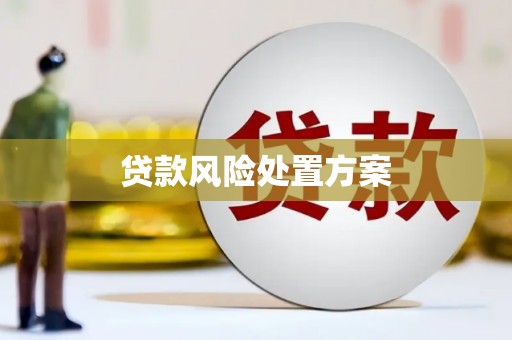 文县贷款风险处置方案