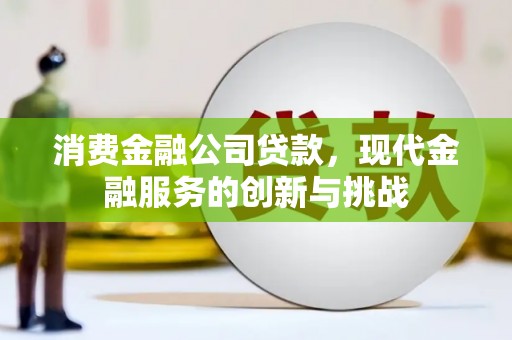 文县消费金融公司贷款，现代金融服务的创新与挑战