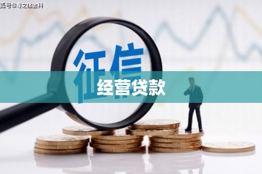 文县经营贷款