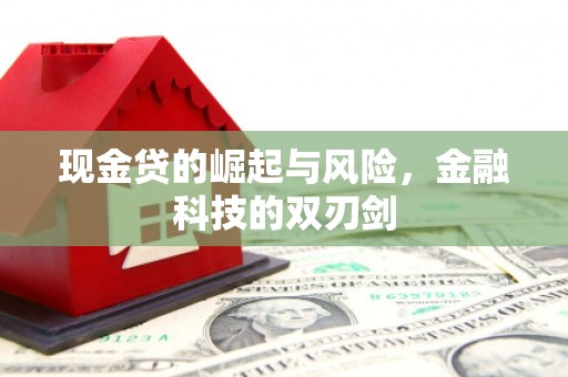 文县现金贷的崛起与风险，金融科技的双刃剑