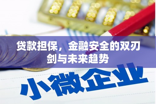 文县贷款担保，金融安全的双刃剑与未来趋势