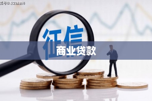 文县商业贷款