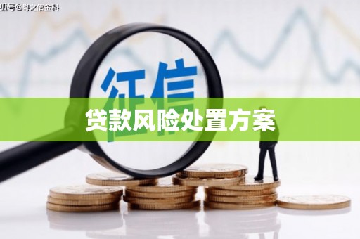 文县贷款风险处置方案