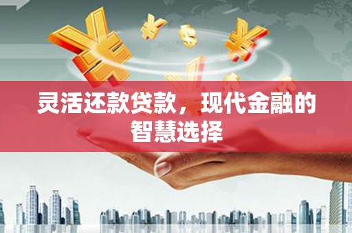 文县灵活还款贷款，现代金融的智慧选择