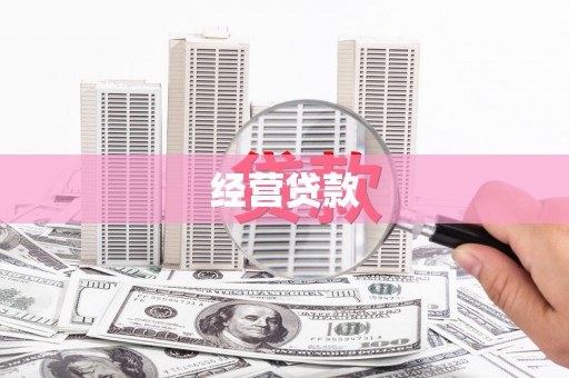 文县经营贷款