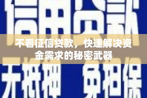 文县不看征信贷款，快速解决资金需求的秘密武器