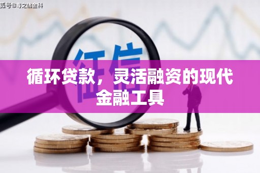 文县循环贷款，灵活融资的现代金融工具
