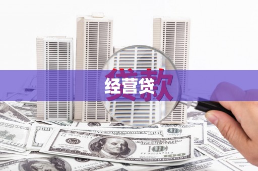 文县经营贷