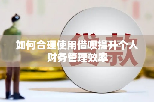 文县如何合理使用借呗提升个人财务管理效率