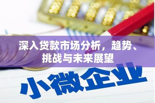 文县深入贷款市场分析，趋势、挑战与未来展望