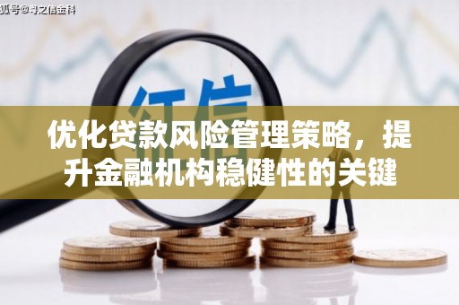 文县优化贷款风险管理策略，提升金融机构稳健性的关键
