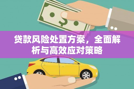 文县贷款风险处置方案，全面解析与高效应对策略