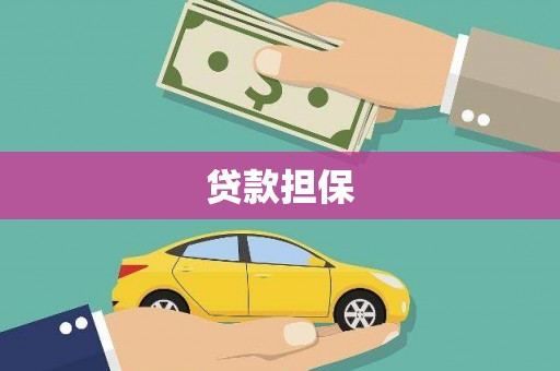 文县贷款担保