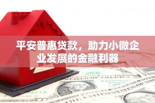 文县平安普惠贷款，助力小微企业发展的金融利器