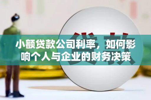 文县小额贷款公司利率，如何影响个人与企业的财务决策