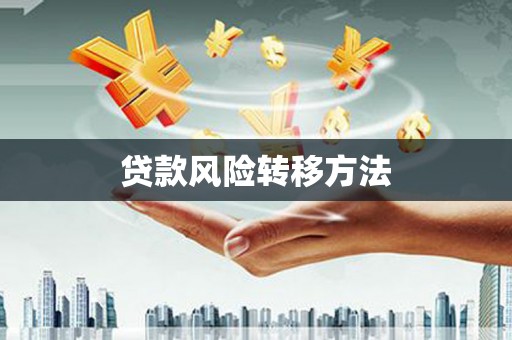 文县贷款风险转移方法