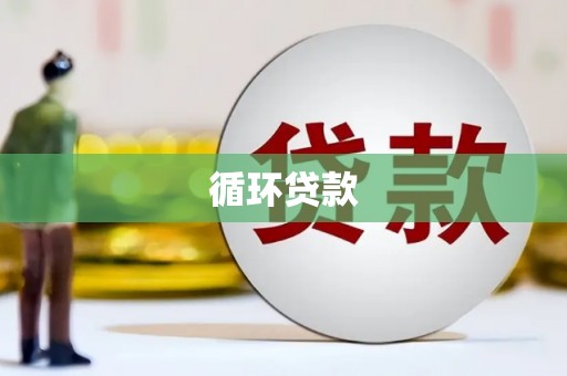文县循环贷款
