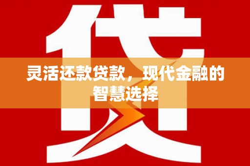 文县灵活还款贷款，现代金融的智慧选择
