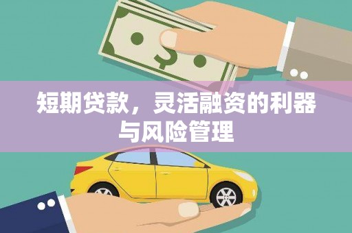 文县短期贷款，灵活融资的利器与风险管理