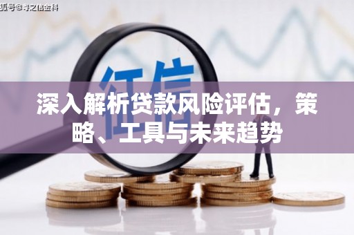 文县深入解析贷款风险评估，策略、工具与未来趋势