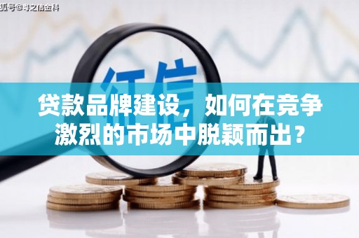 文县贷款品牌建设，如何在竞争激烈的市场中脱颖而出？