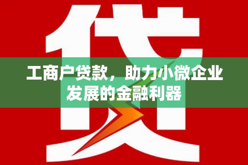 文县工商户贷款，助力小微企业发展的金融利器