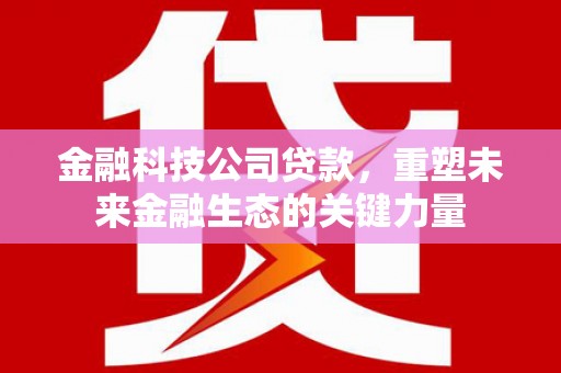文县金融科技公司贷款，重塑未来金融生态的关键力量