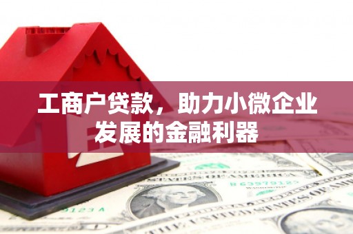 文县工商户贷款，助力小微企业发展的金融利器