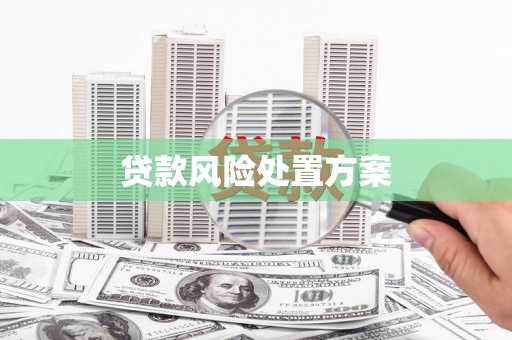 文县贷款风险处置方案
