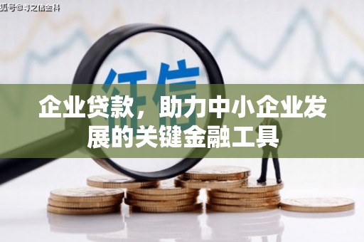文县企业贷款，助力中小企业发展的关键金融工具