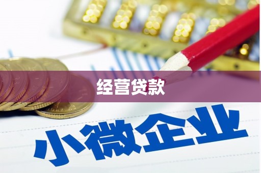 文县经营贷款