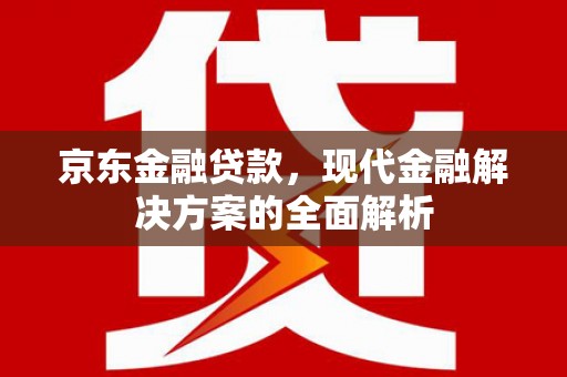 文县京东金融贷款，现代金融解决方案的全面解析