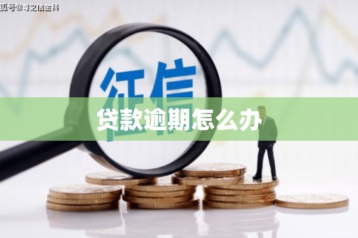 文县贷款逾期怎么办