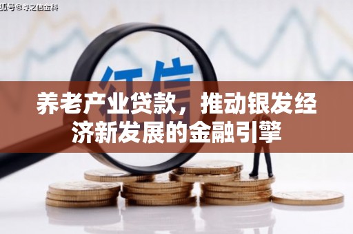 文县养老产业贷款，推动银发经济新发展的金融引擎