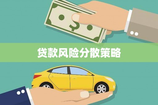 文县贷款风险分散策略