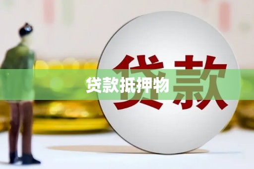 文县贷款抵押物