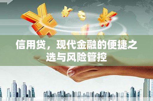 文县信用贷，现代金融的便捷之选与风险管控