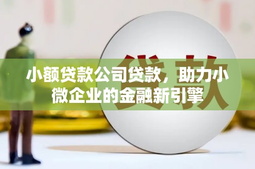 文县小额贷款公司贷款，助力小微企业的金融新引擎