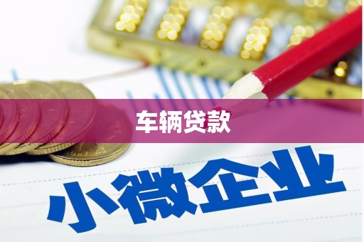 文县车辆贷款