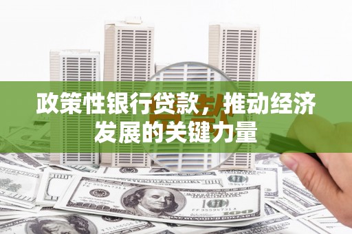 文县政策性银行贷款，推动经济发展的关键力量