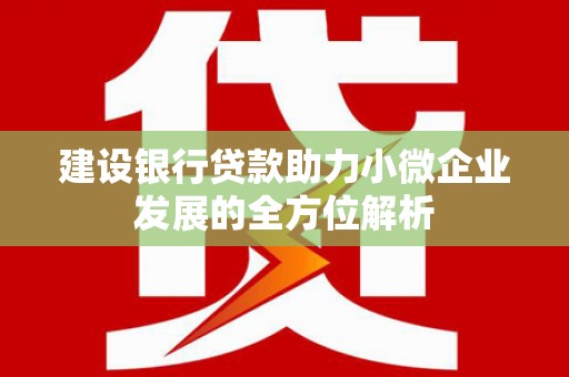 文县建设银行贷款助力小微企业发展的全方位解析