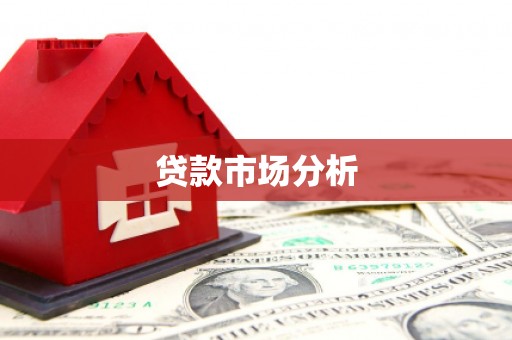 文县贷款市场分析